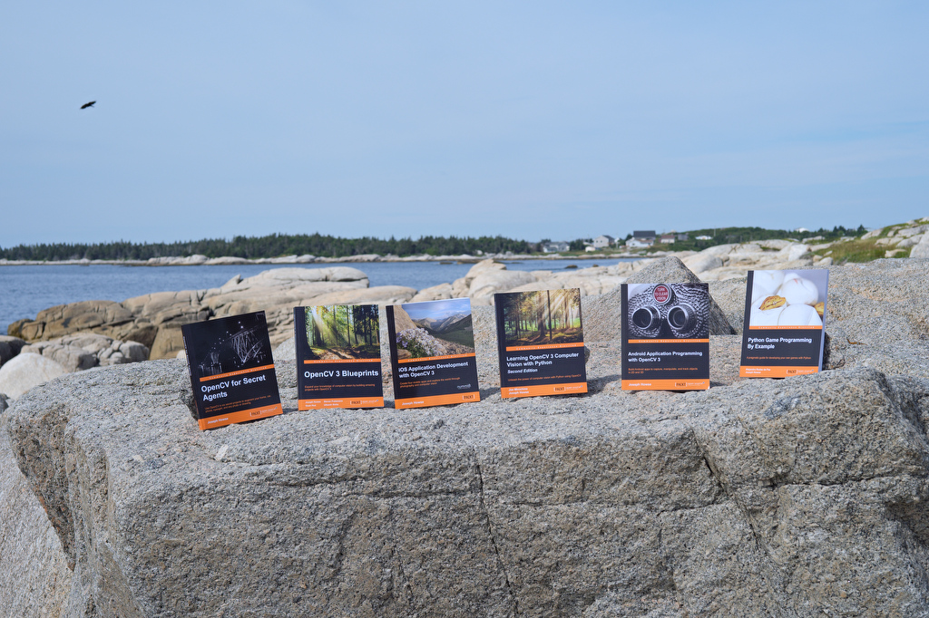 Books on OpenCV by Joseph Howse